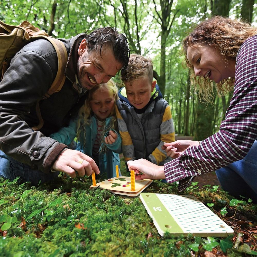 Hape Flower Press Art DIY Kit